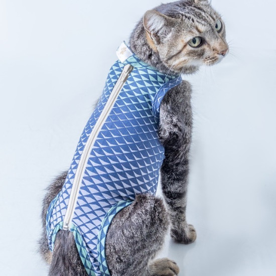 Îmbrăcăminte de Protecție Ultra Light Color – Exclusiv pentru Pisici Nr. 4 Verde 5 – 7 kg UV 50 plus, Antimicrobiană, Dry